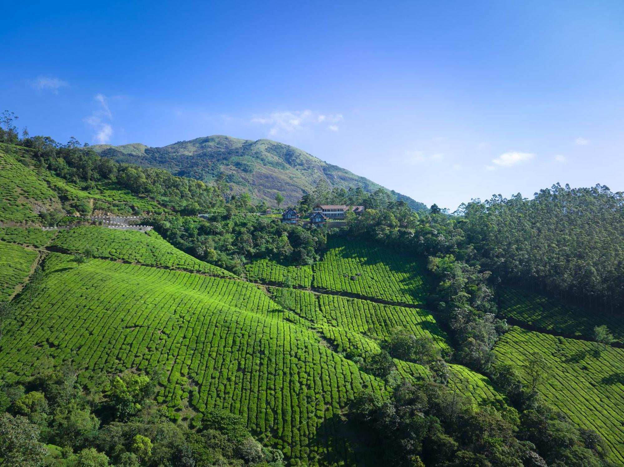The Planet Munnar Hotel Suryanelli Exterior photo